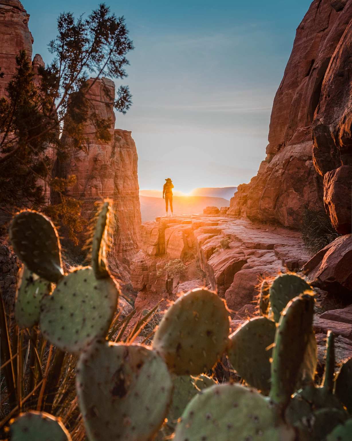Cathedral Rock hike — Sedona